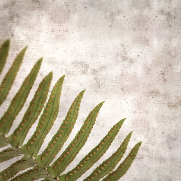 Stylish Textured Old Paper Square Background Fern Leaves Close — Stock Photo, Image