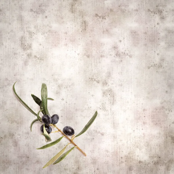 Stylové Texturované Staré Papírové Pozadí Malou Větev Olivovníku Ovocem — Stock fotografie