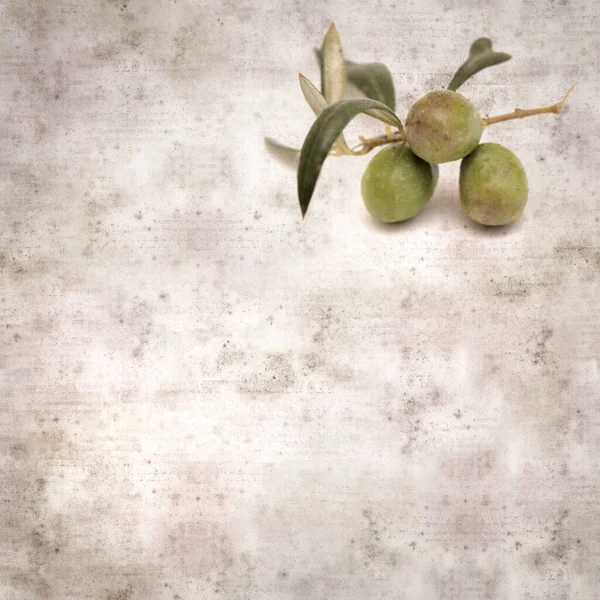 Stylish Textured Old Paper Background Small Branch Olive Tree Fruit — Stock Photo, Image