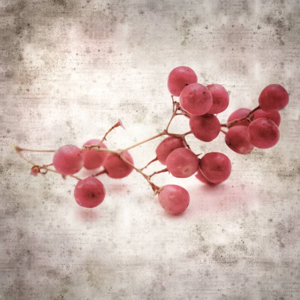 Stylish Textured Old Paper Background Small Branch Pink Pepper Tree — Stockfoto