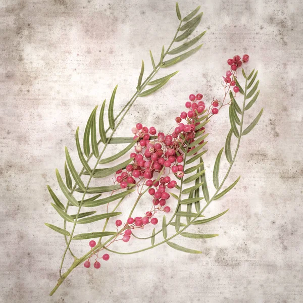 Stylish Textured Old Paper Background Small Branch Pink Pepper Tree — Stock Photo, Image