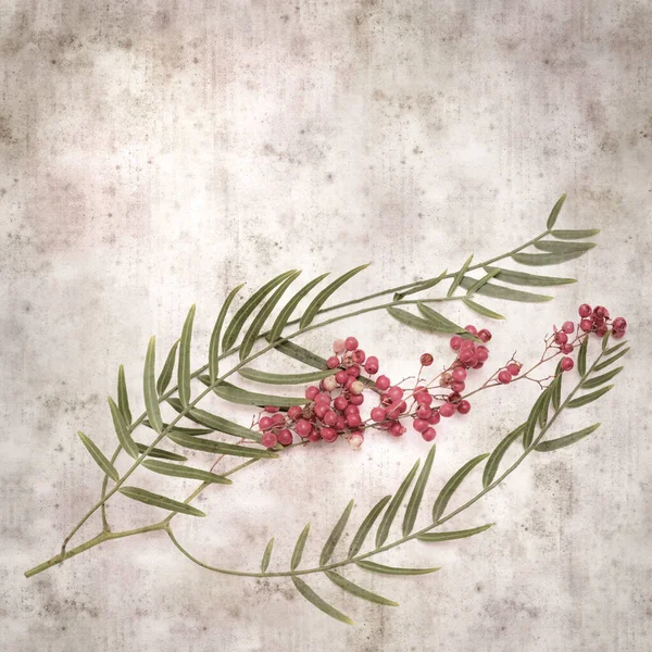 Stylish Textured Old Paper Background Small Branch Pink Pepper Tree — Stockfoto
