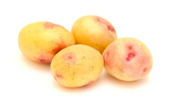 Kleine Nieuwe Aardappelen Met Roze Kleuring Geïsoleerd Witte Achtergrond — Stockfoto