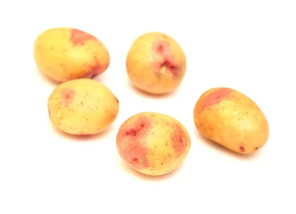 Pequeñas Papas Nuevas Con Coloración Rosa Aisladas Sobre Fondo Blanco — Foto de Stock