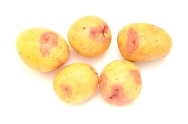 Kleine Nieuwe Aardappelen Met Roze Kleuring Geïsoleerd Witte Achtergrond — Stockfoto