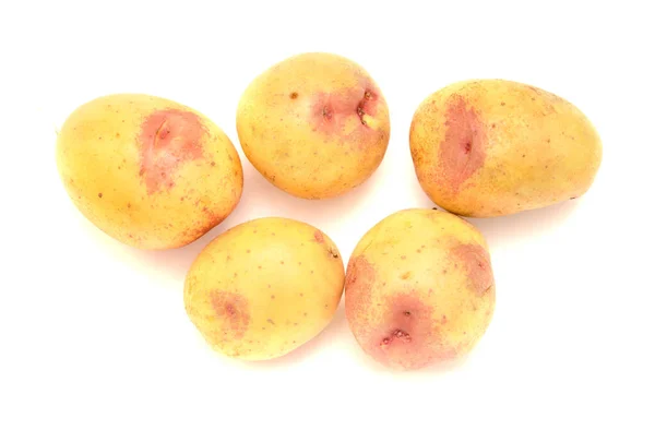 Kleine Nieuwe Aardappelen Met Roze Kleuring Geïsoleerd Witte Achtergrond — Stockfoto