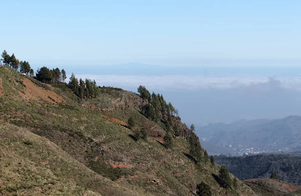 Gran Canaria Paesaggio Della Parte Centrale Montuosa Dell Isola Las — Foto Stock