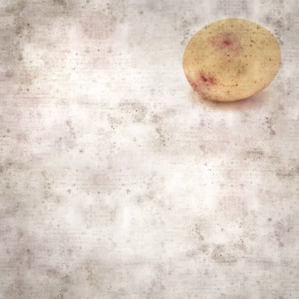 Square Stylish Old Textured Paper Background New Potatoes Canary Islands — 图库照片