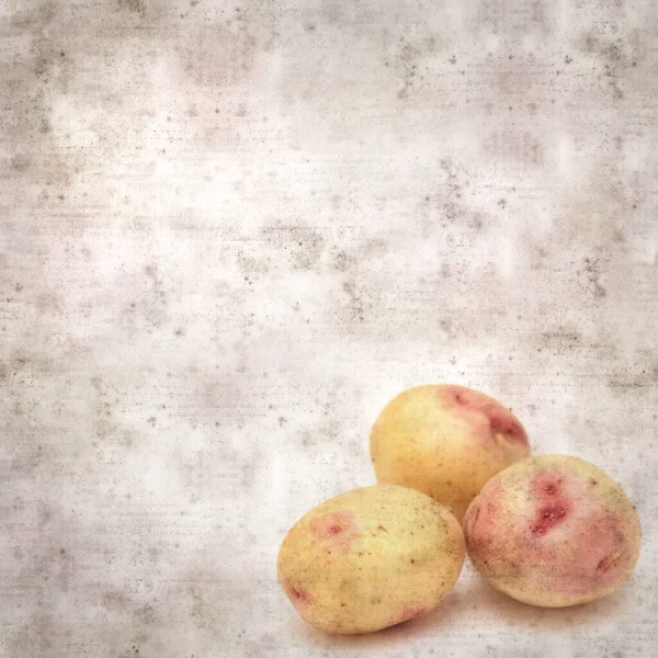 Square Stylish Old Textured Paper Background New Potatoes Canary Islands — Stock Photo, Image