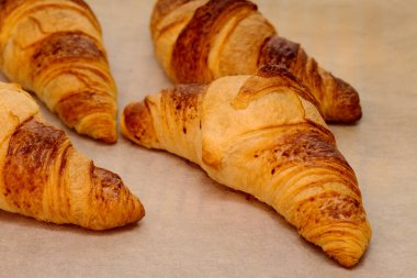 Fırından yeni çıkmış kruvasanlar parşömen kaplı fırın tepsisinde.