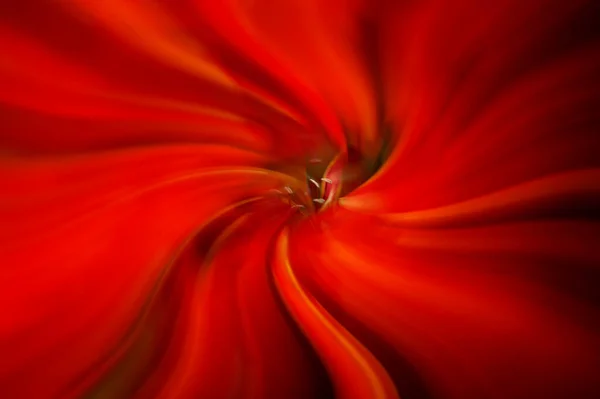 Abstract Patroon Gevormd Met Bloemenelementen Het Midden — Stockfoto