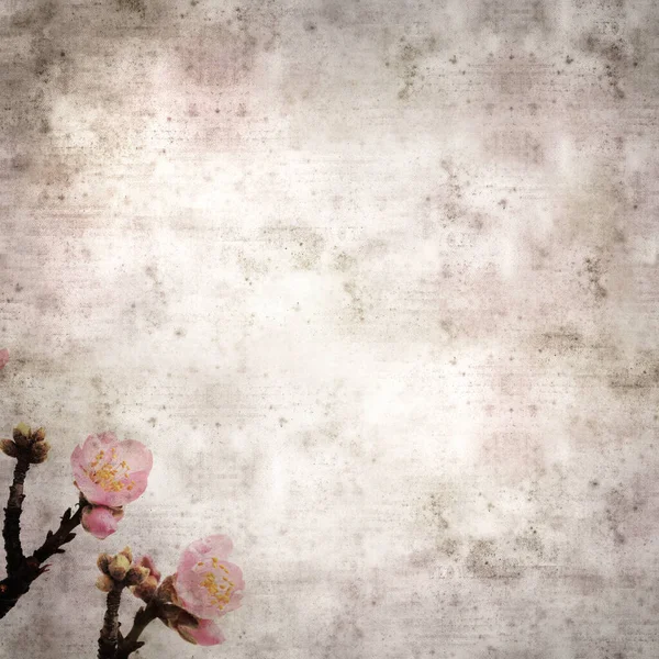 Kwadrat Stylowe Stare Teksturowane Tło Papieru Kwiatami Migdałów Gran Canarii — Zdjęcie stockowe