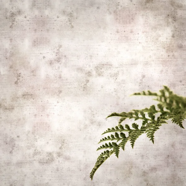 Плоский Стиль Старовинного Текстурованого Паперу Мереживним Листям Todaroa Montana Рослинного — стокове фото