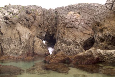 İspanya 'nın kuzeyinde Cantabria' nın kıyı kesiminde, Costa Quebrada, yani Kırık Kıyı, Liencres 'teki Playa de Somocuevas Koyu civarında.
