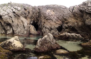 İspanya 'nın kuzeyinde Cantabria' nın kıyı kesiminde, Costa Quebrada, yani Kırık Kıyı, Liencres 'teki Playa de Somocuevas Koyu civarında.
