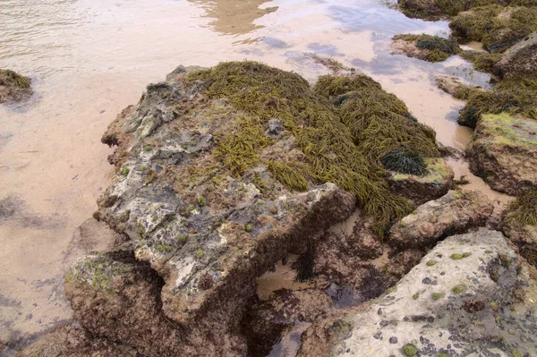 Przybrzeżna Część Kantabrii Północy Hiszpanii Costa Quebrada Czyli Broken Coast — Zdjęcie stockowe