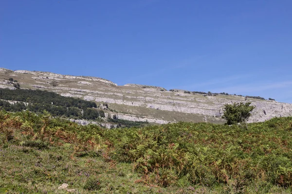 Hegyvidéki Része Cantabria Észak Spanyolországban Túraútvonal Collados Del Ason Természeti — Stock Fotó