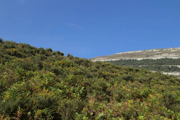 Horská Část Kantábrie Severu Španělska Turistická Trasa Přírodním Parku Collados — Stock fotografie