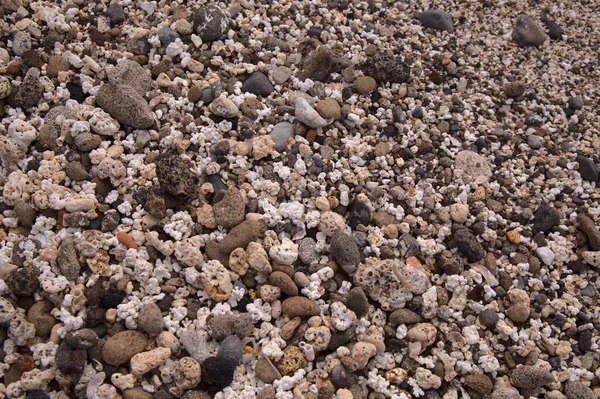 กรานคานาเร Confital Beach บนขอบของ Las Palmas Gran Canaria วนผสมของก อนกรวดเล — ภาพถ่ายสต็อก