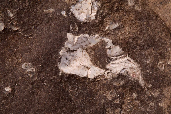 Gran Canaria Die Texturen Der Felsen Strand Confital Rande Von — Stockfoto