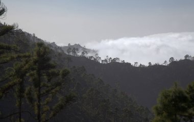 Gran Canaria, adanın merkezi anıtsal bölgesinin manzarası, Las Cumbres, ie The Summits, Altavista 'ya yürüyüş güzergahı, Aborjin adı Azaenegue, Artenara belediyesindeki dağ 