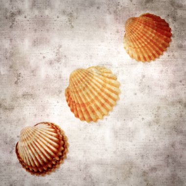 Midye kabuklu eski kağıt kaplama stil