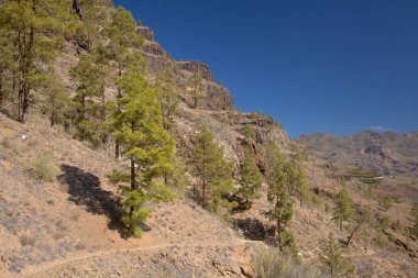 Gran Canaria, adanın güney kısmının manzarası Barranco de Arguinegun sarp ve derin vadi boyunca dikey kaya duvarları, bir köyden başlayan dairesel yürüyüş rotası
