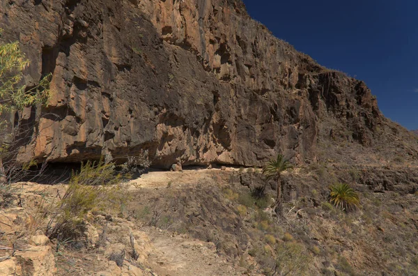 グラン カナリア島 バーランコ アルギネガンに沿った島の南部の風景垂直岩壁の急な深い峡谷 村から始まる円形のハイキングルートBaranquillo Andres — ストック写真