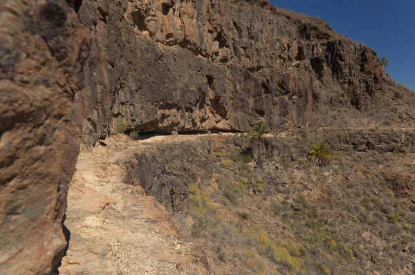 Gran Canaria Paysage Partie Sud Île Long Barranco Arguinegun Ravin — Photo