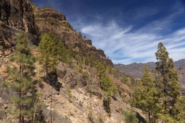 Gran Canaria, adanın güney kısmının manzarası Barranco de Arguinegun sarp ve derin vadi boyunca dikey kaya duvarları, bir köyden başlayan dairesel yürüyüş rotası
