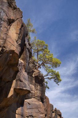 Gran Canaria, adanın güney kısmının manzarası Barranco de Arguinegun sarp ve derin vadi boyunca dikey kaya duvarları, bir köyden başlayan dairesel yürüyüş rotası