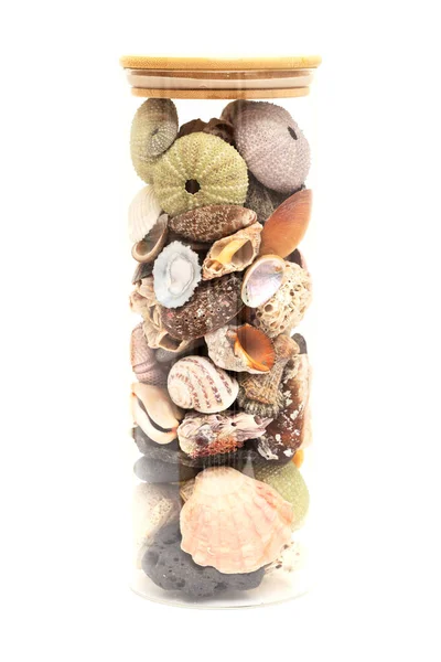 海辺の宝物 ガラス ウニの骨格は 白い上に隔離された円筒形の容器にグランカナリア周辺の大西洋から隔離された — ストック写真