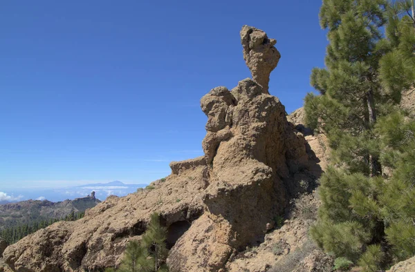 Gran Canaria Zentraler Gebirgiger Teil Der Insel Las Cumbres Die — Stockfoto