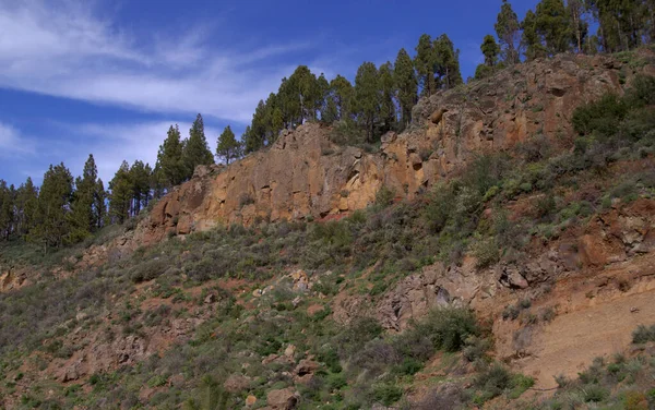 Gran Canaria Paisagem Parte Central Ilha Las Cumbres Seja Cumes — Fotografia de Stock