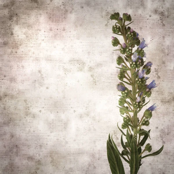 Cuadrado Con Estilo Antiguo Fondo Papel Texturizado Con Flores Azules — Foto de Stock