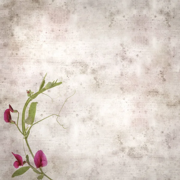 Vierkante Stijlvolle Oude Textuur Papier Achtergrond Met Donker Paarse Bloemen — Stockfoto