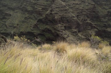 La Palma, adanın batı kıyısının manzarası, Tijarafe belediyesi, inanılmaz küçük bir köy olan Poris de Candelaria 'ya giden yol, okyanus kıyısındaki geniş bir mağarada saklı.