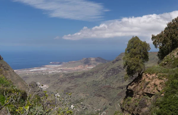 Gran Canaria Paisagem Parte Central Montanhosa Ilha Rota Caminhadas Parte — Fotografia de Stock