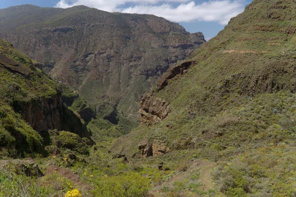 Gran Canaria Paisagem Parte Central Montanhosa Ilha Rota Caminhadas Parte — Fotografia de Stock