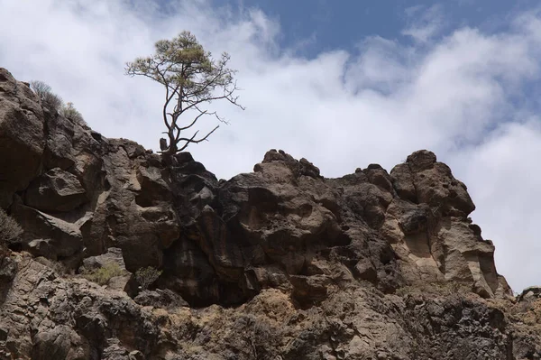 大加那利亚 岛上南部的风景 沿着巴兰科峡谷陡峭的深谷 有垂直的岩壁 环行的远足路线 参观象岩拱门和几个观景台 — 图库照片