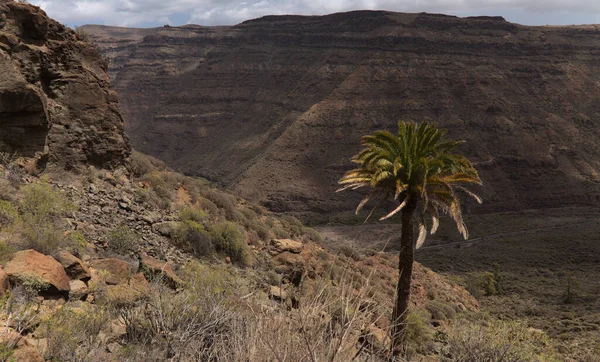 Gran Canaria Paisaje Parte Sur Isla Largo Del Barranco Arguinegun — Foto de Stock