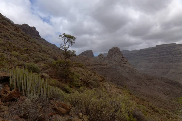 Gran Canaria Landscape Southern Part Island Barranco Arguinegun Steep Deep — Stock Photo, Image