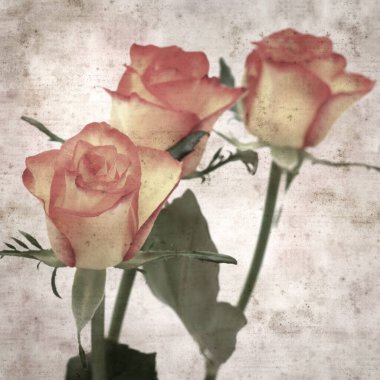 Kare biçiminde, sarı ve turuncu güllü eski desenli kağıt arka plan