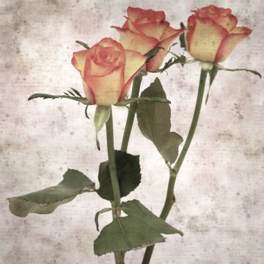 Kare biçiminde, sarı ve turuncu güllü eski desenli kağıt arka plan