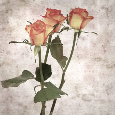 Kare biçiminde, sarı ve turuncu güllü eski desenli kağıt arka plan