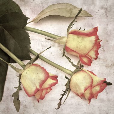 Kare biçiminde, sarı ve turuncu güllü eski desenli kağıt arka plan