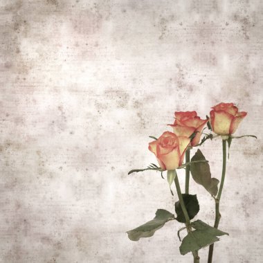 Kare biçiminde, sarı ve turuncu güllü eski desenli kağıt arka plan