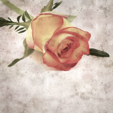 Kare biçiminde, sarı ve turuncu güllü eski desenli kağıt arka plan