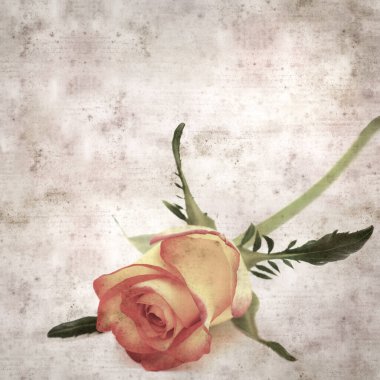 Kare biçiminde, sarı ve turuncu güllü eski desenli kağıt arka plan