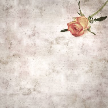 Kare biçiminde, sarı ve turuncu güllü eski desenli kağıt arka plan